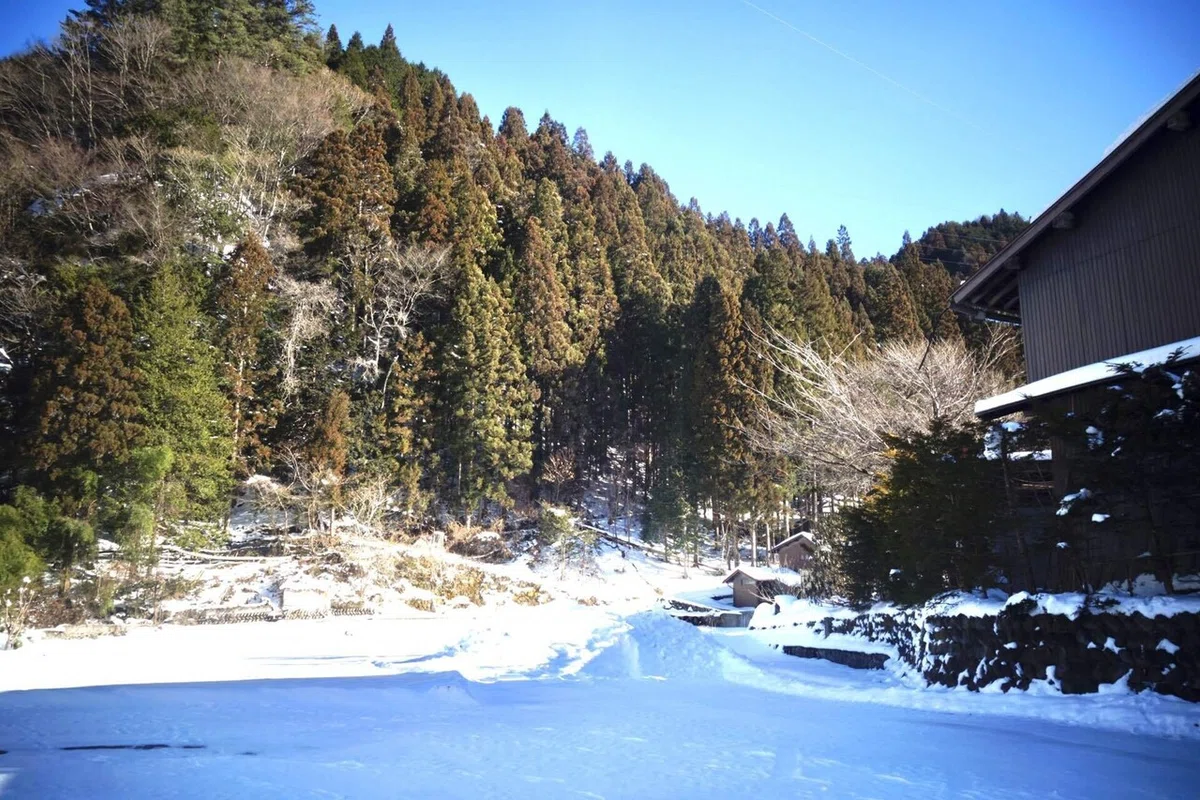 画像8