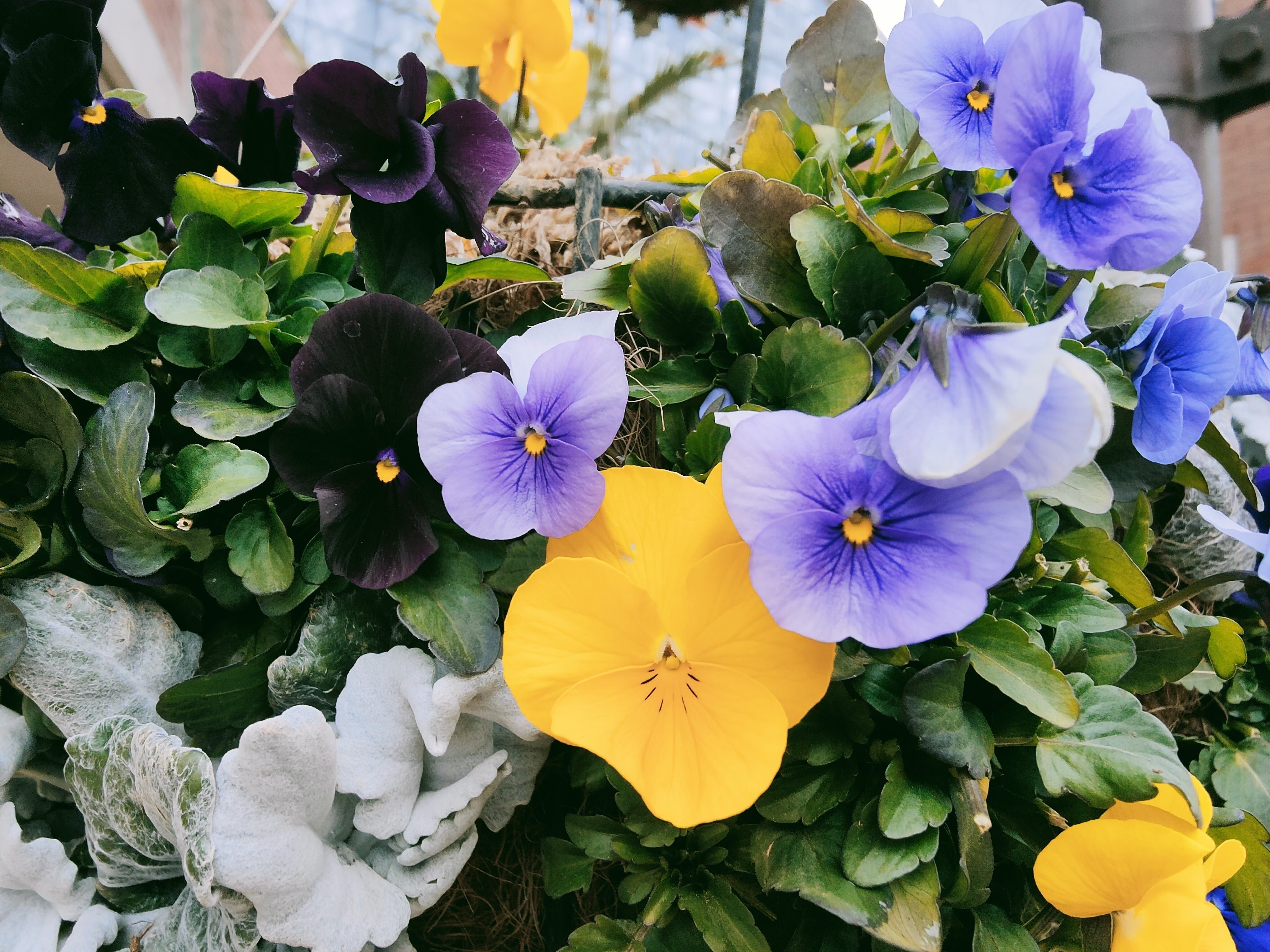 倍速視聴 の新着タグ記事一覧 Note つくる つながる とどける