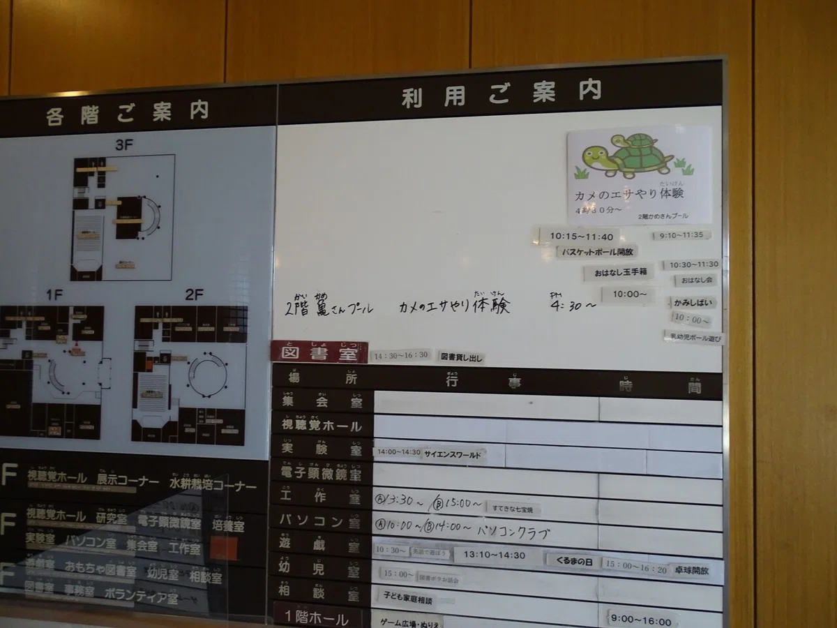 画像7
