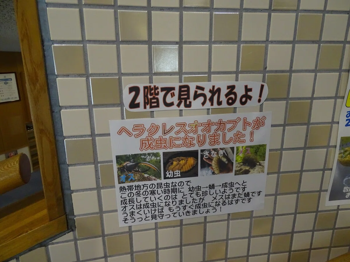 画像9