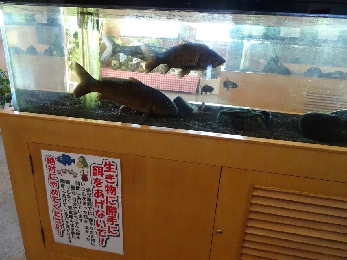画像13