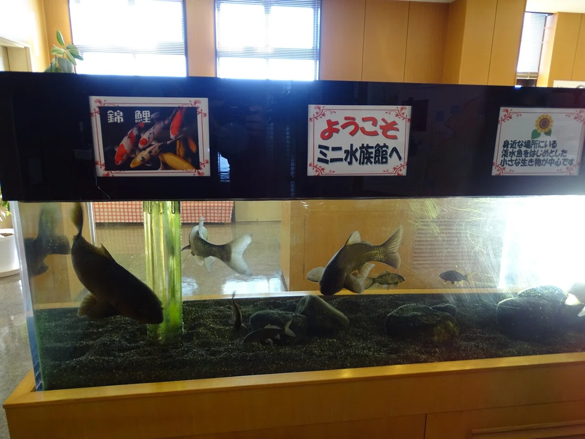 画像12
