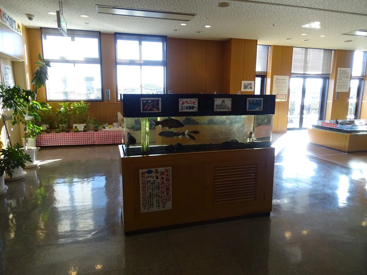 画像10