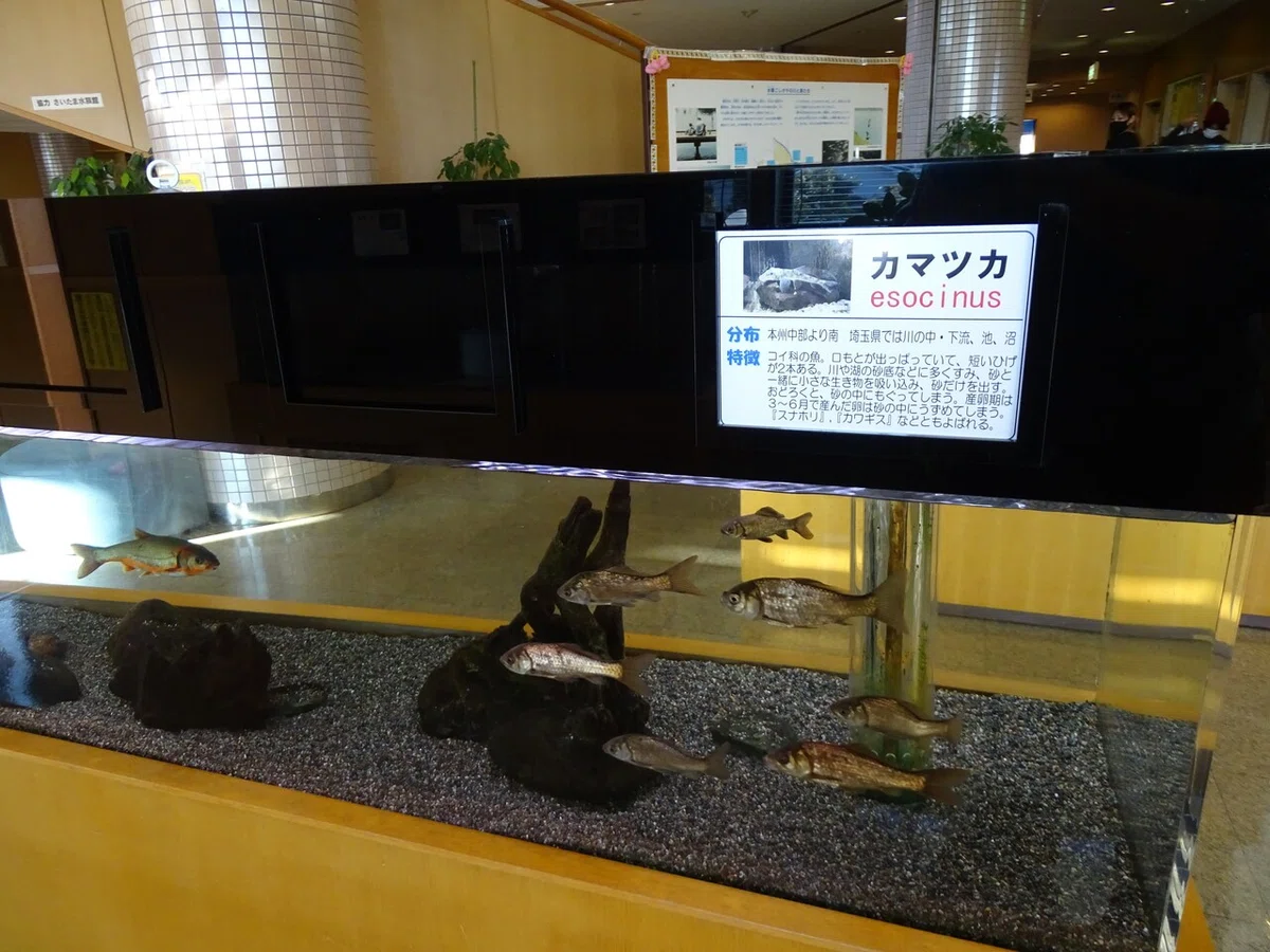 画像27