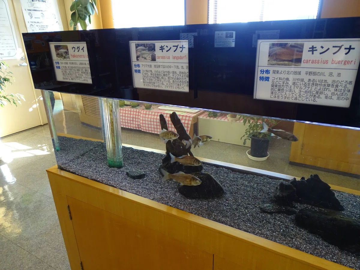 画像24