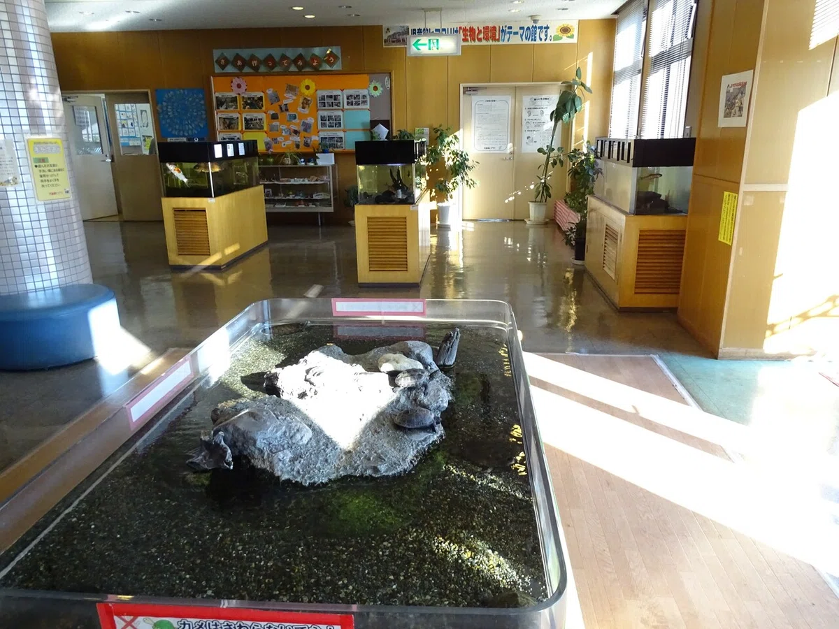 画像21