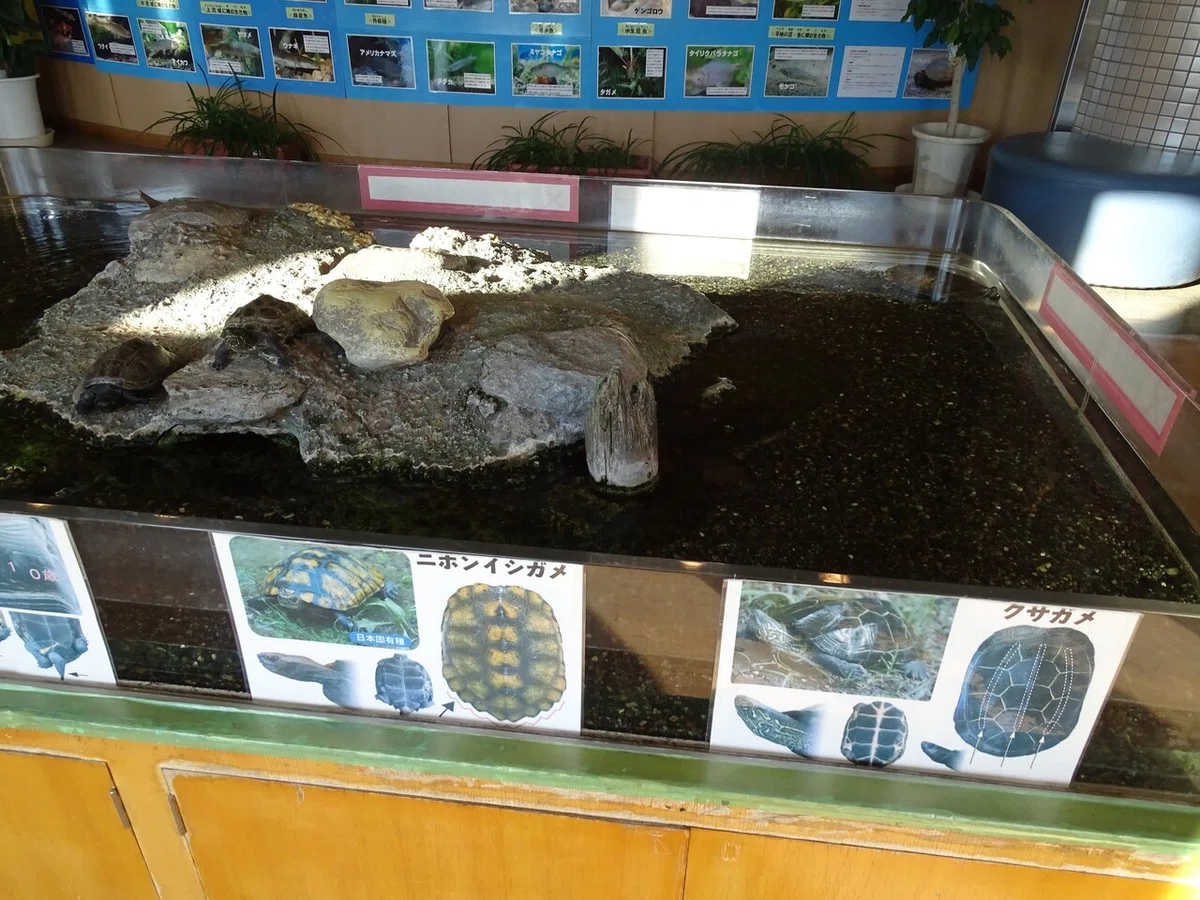 画像17