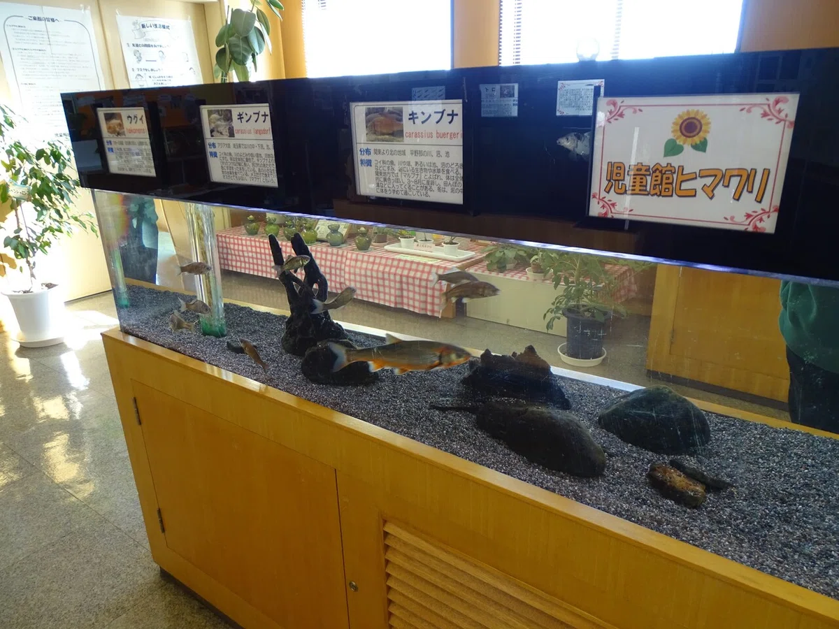 画像23