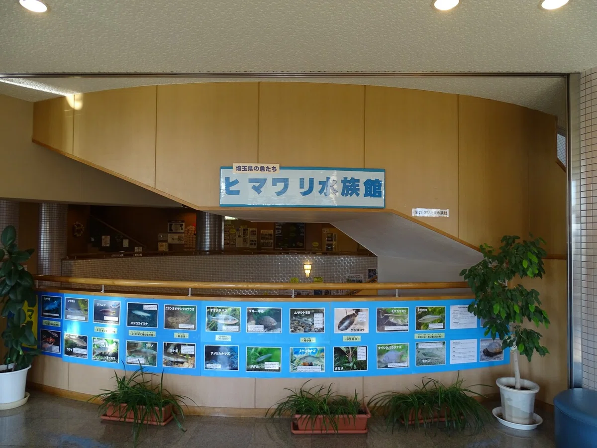 画像16