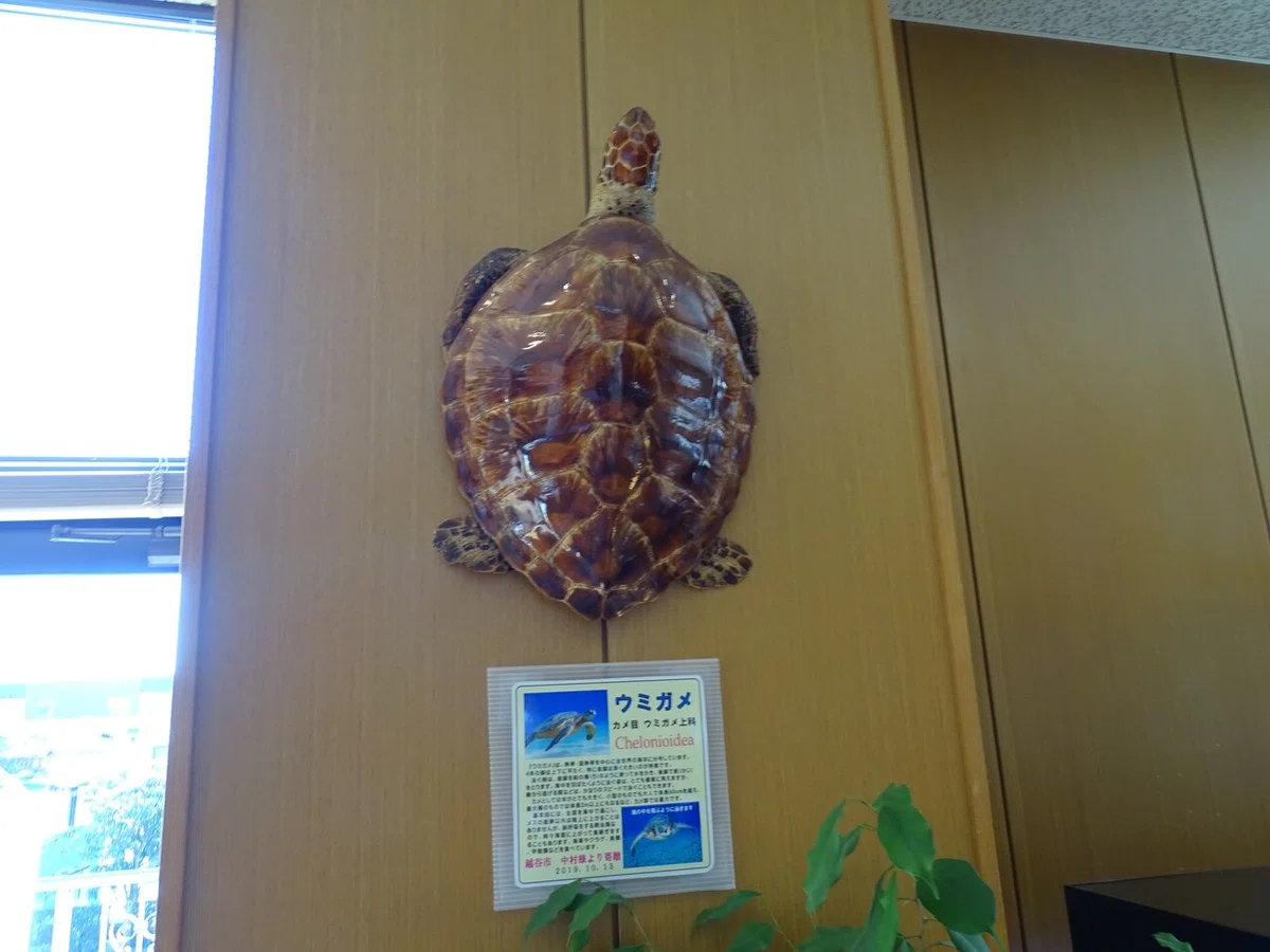 画像29