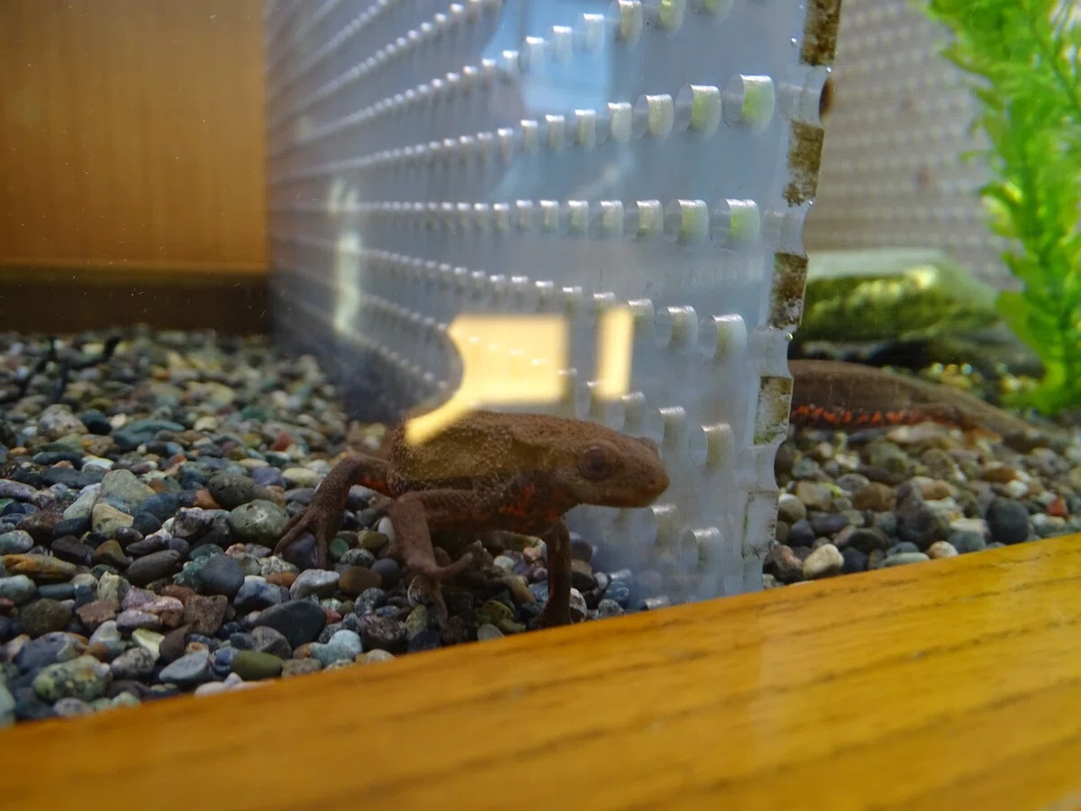 画像31