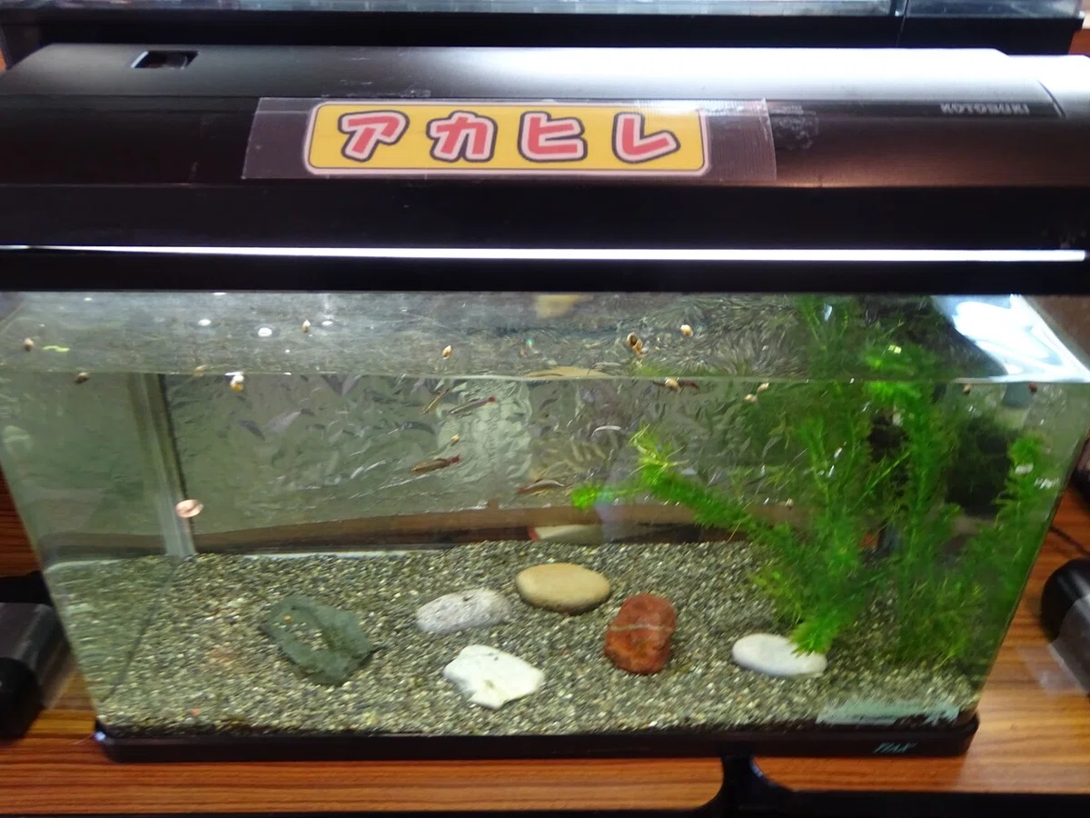画像28