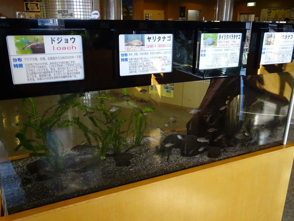 画像40