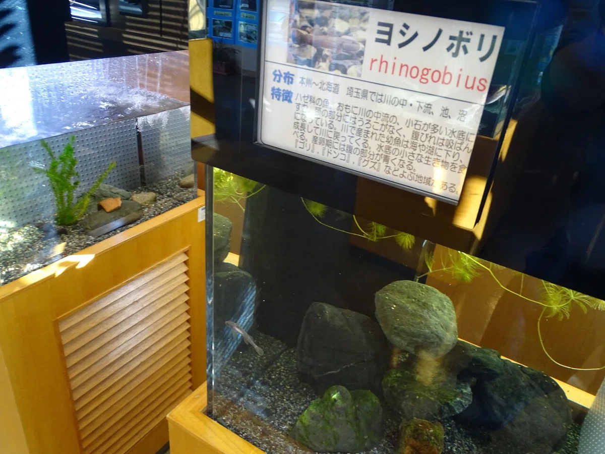 画像34