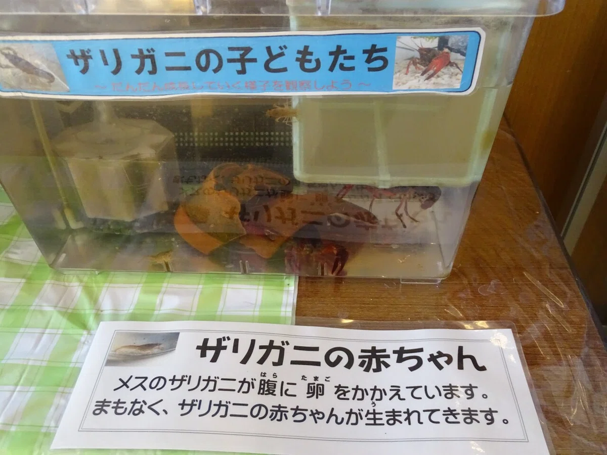 画像39