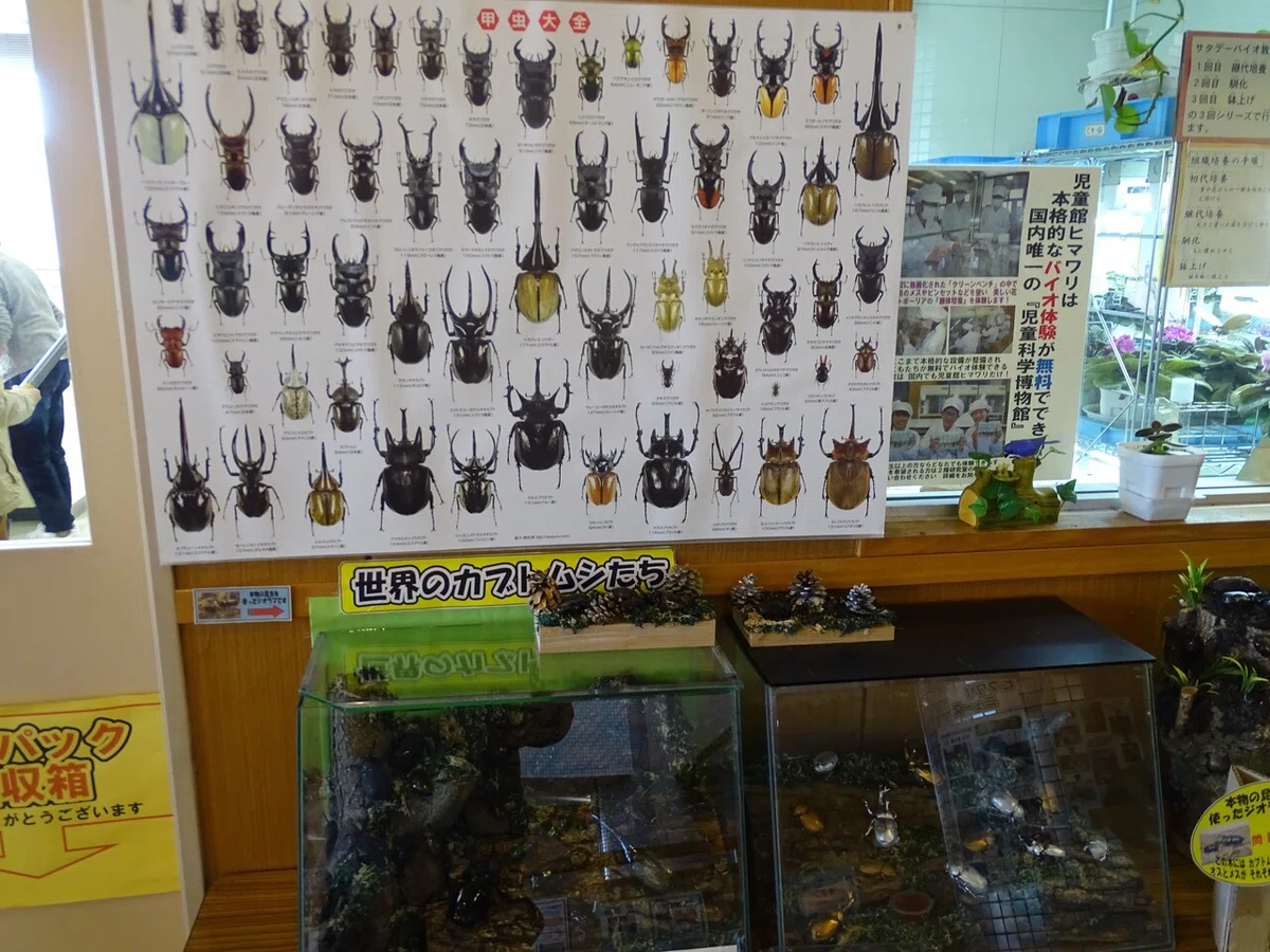 画像46