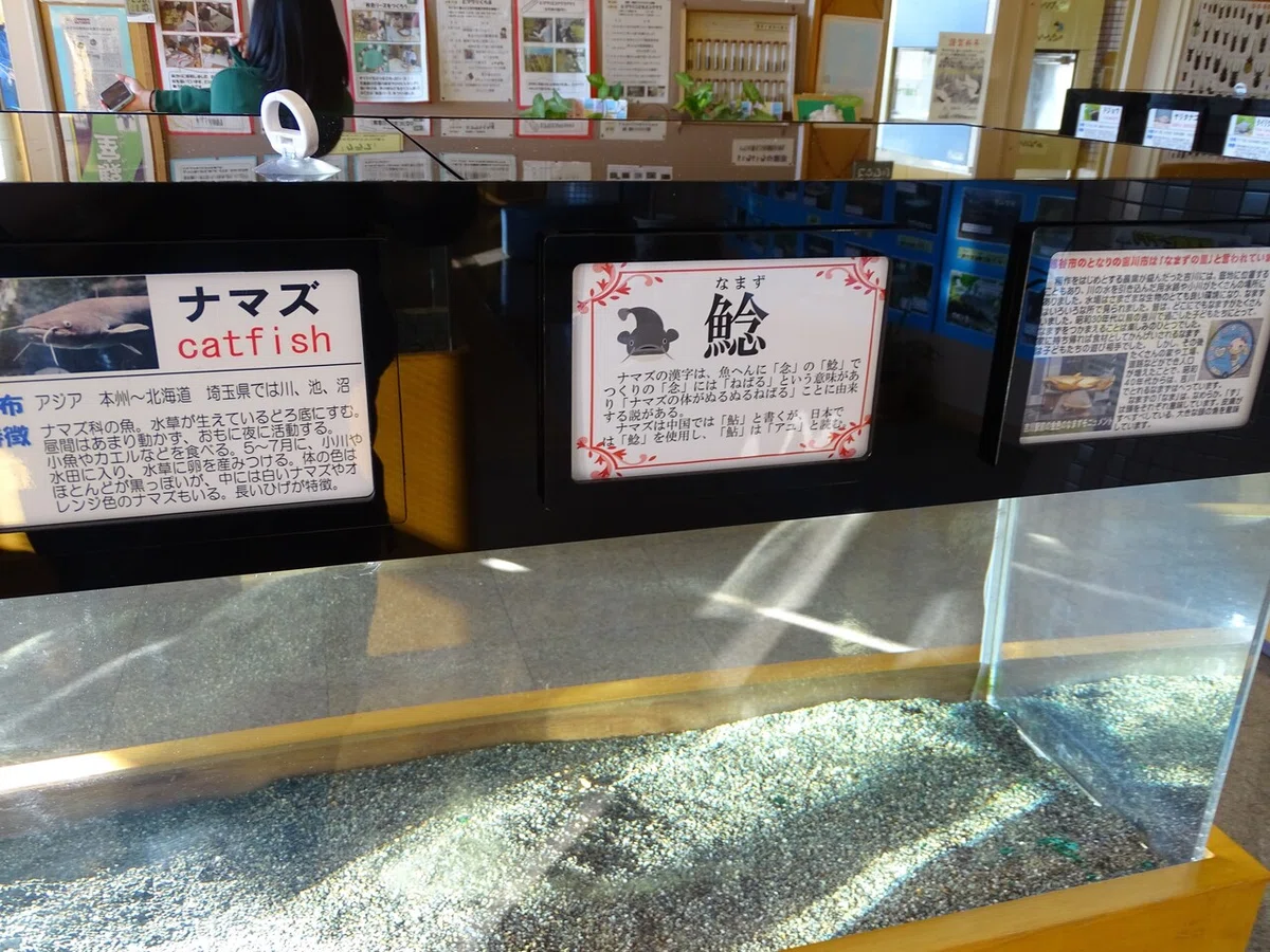 画像45