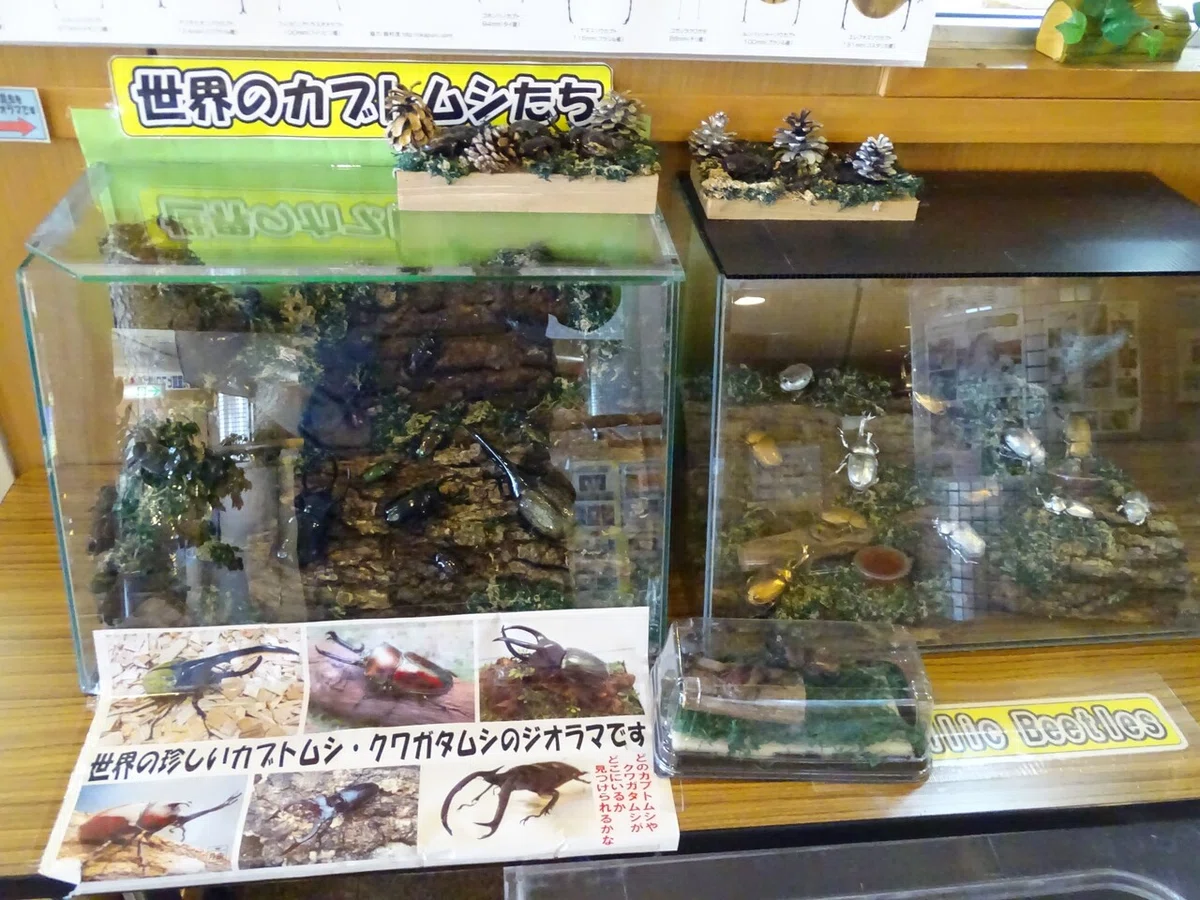 画像47