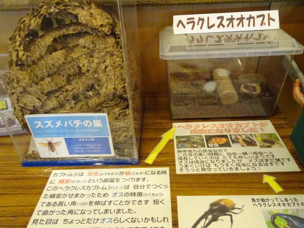 画像55