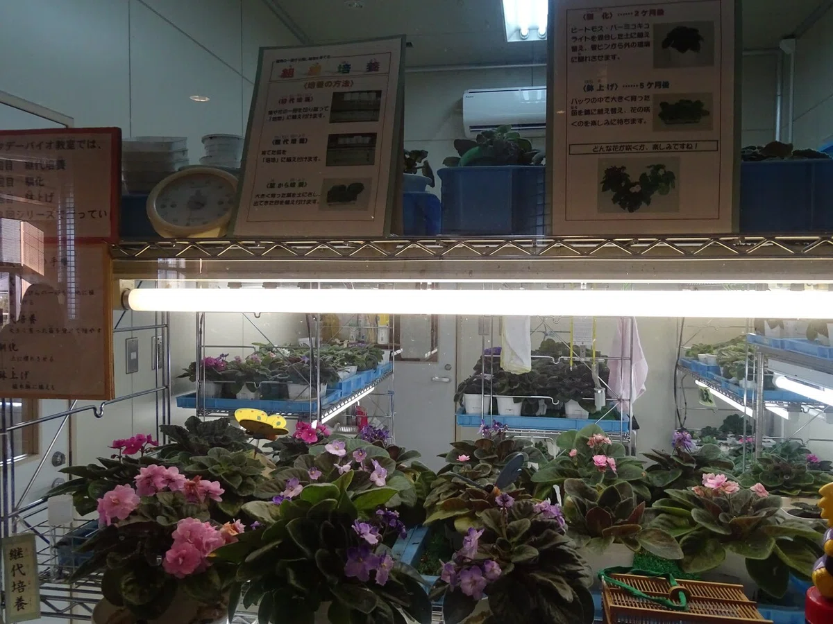 画像53