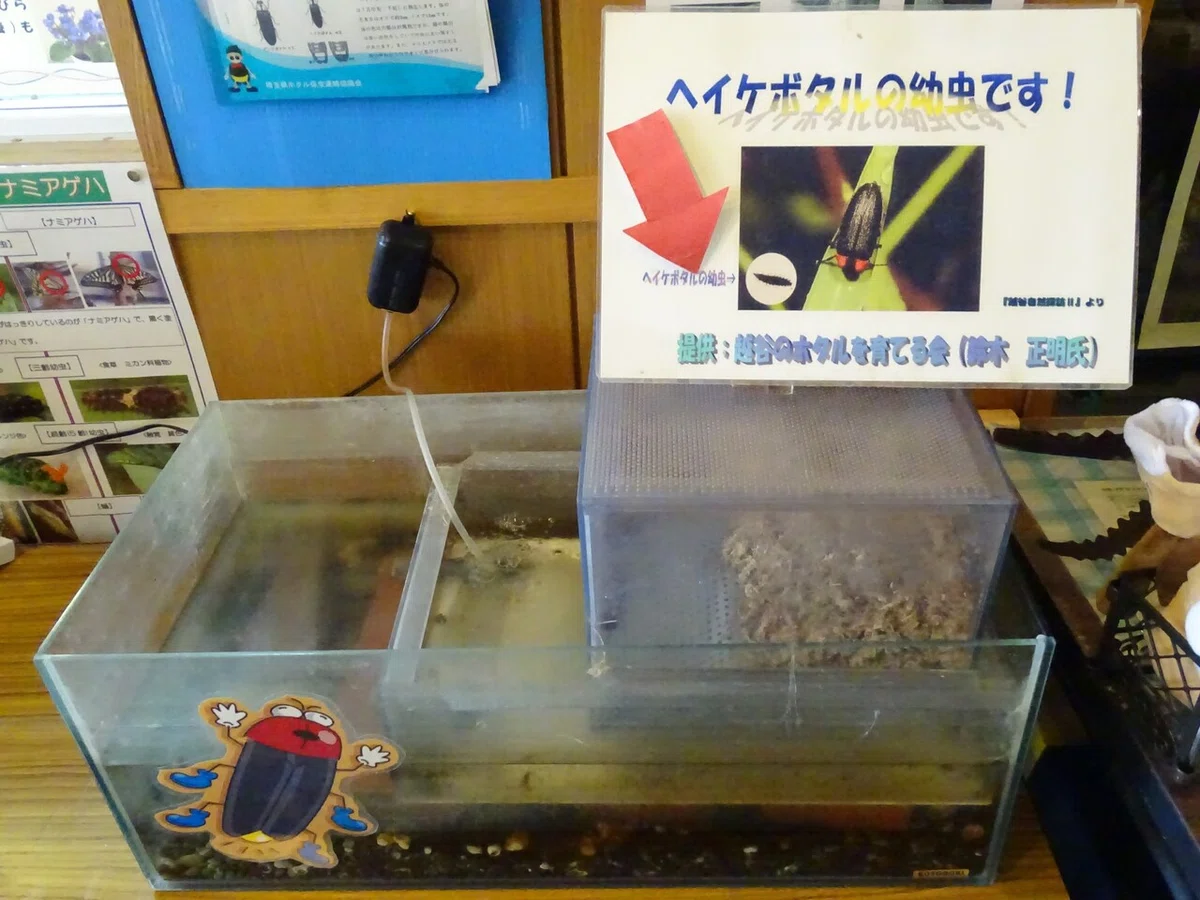 画像50