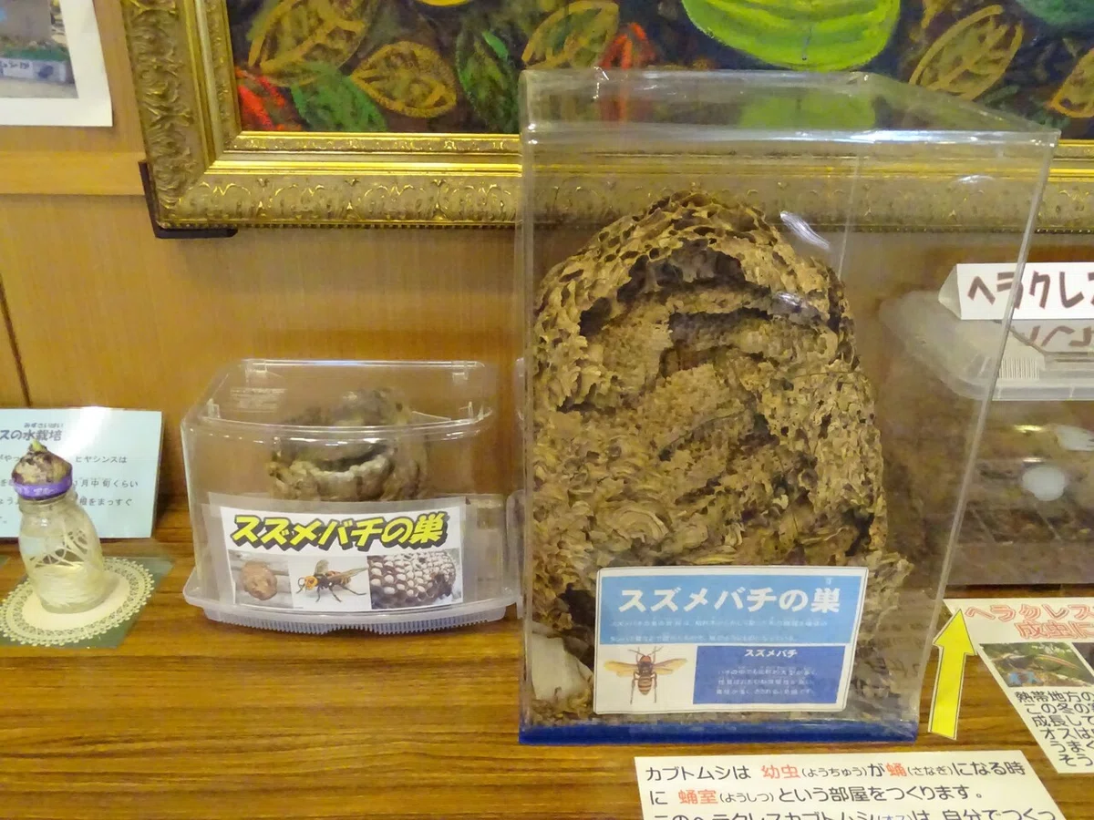 画像54