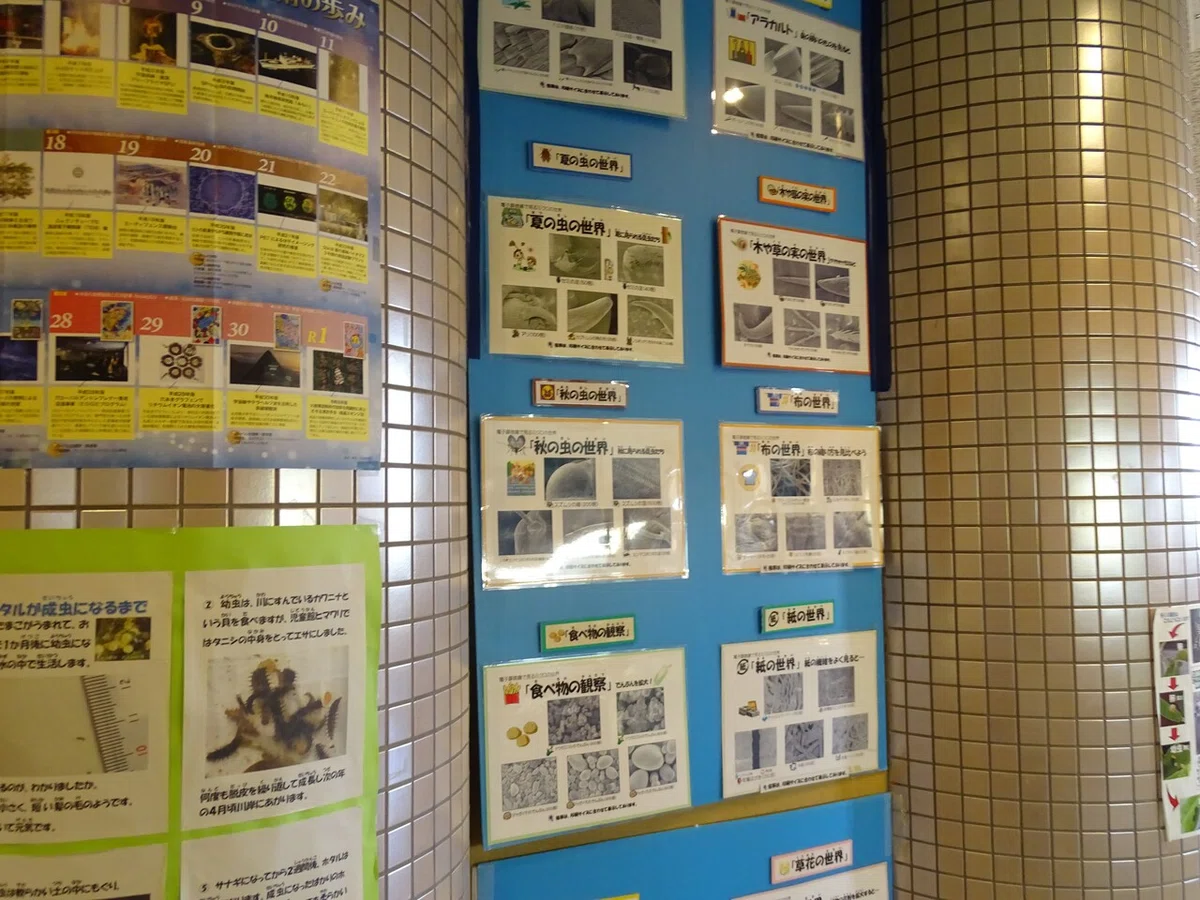 画像52
