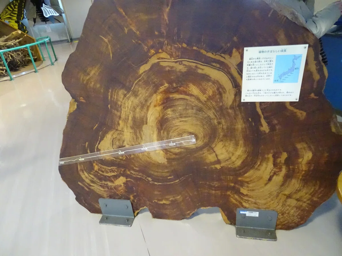 画像63