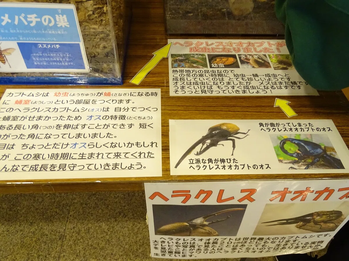 画像56