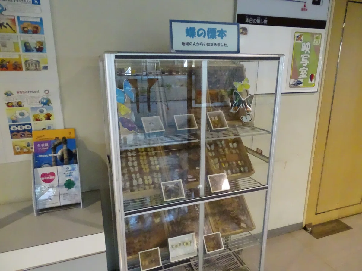 画像71