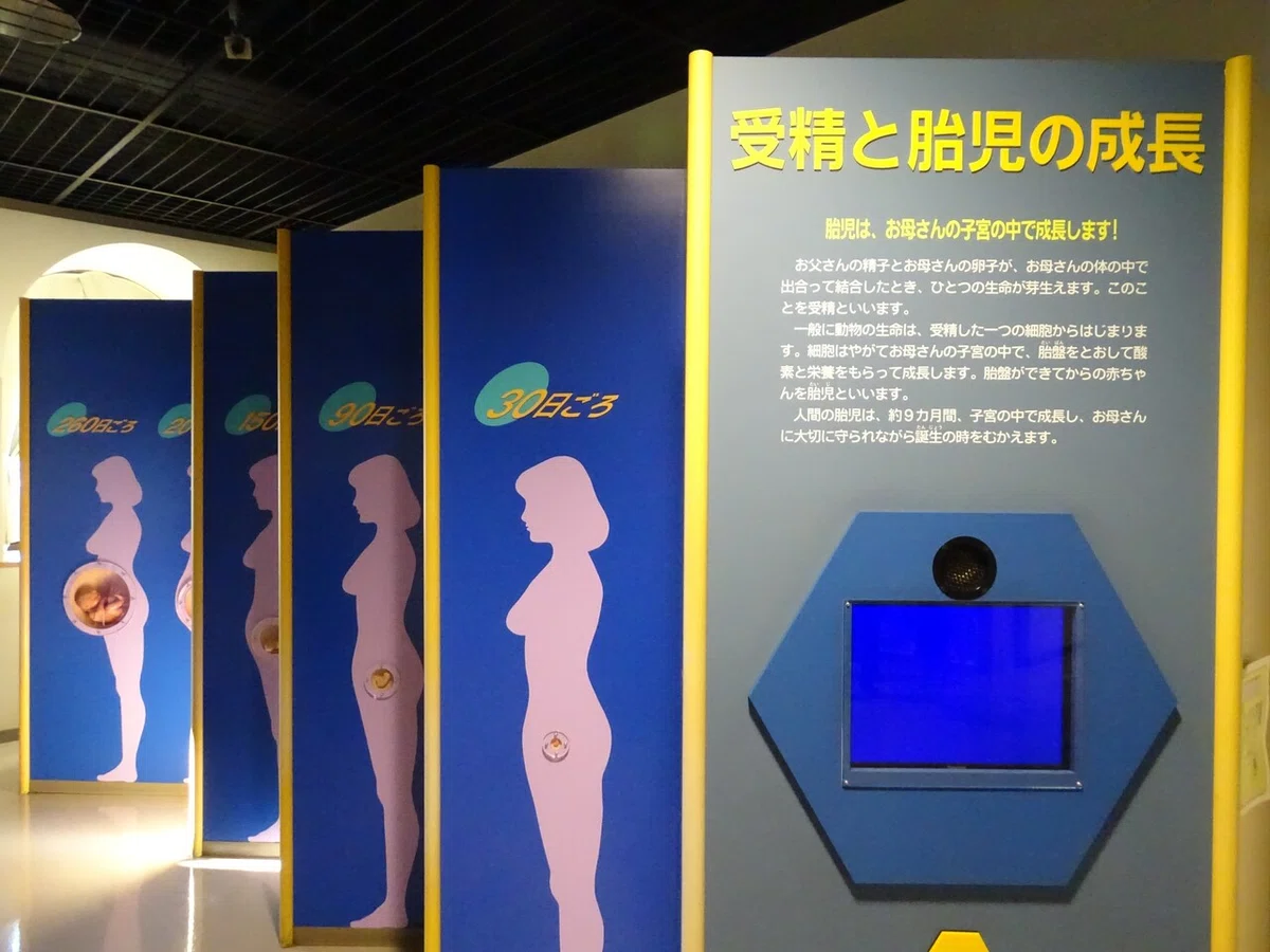 画像72