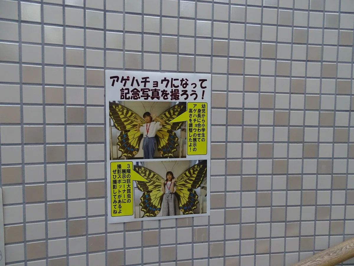 画像58