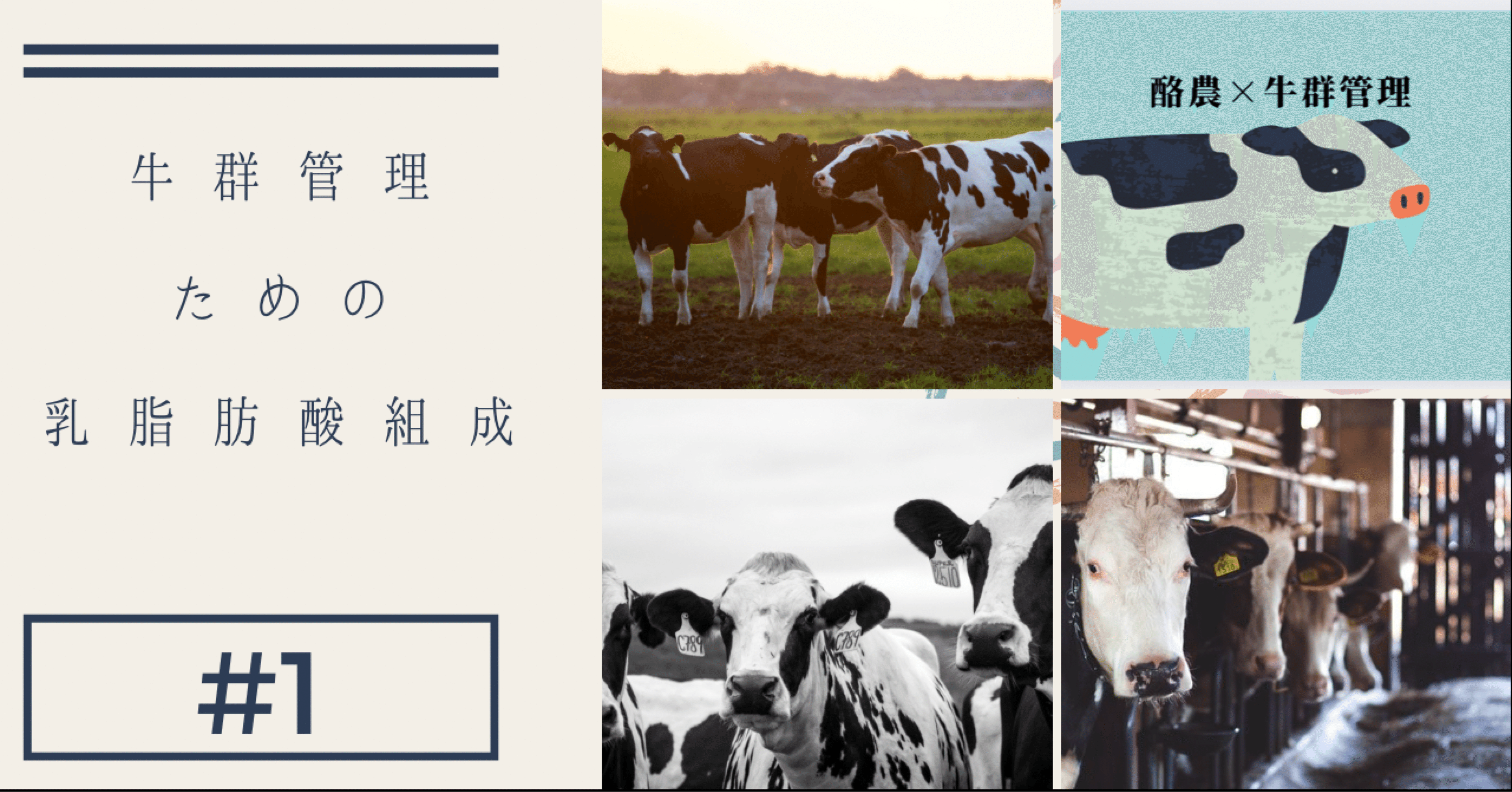 1 牛群管理のための乳脂肪酸組成｜yuu