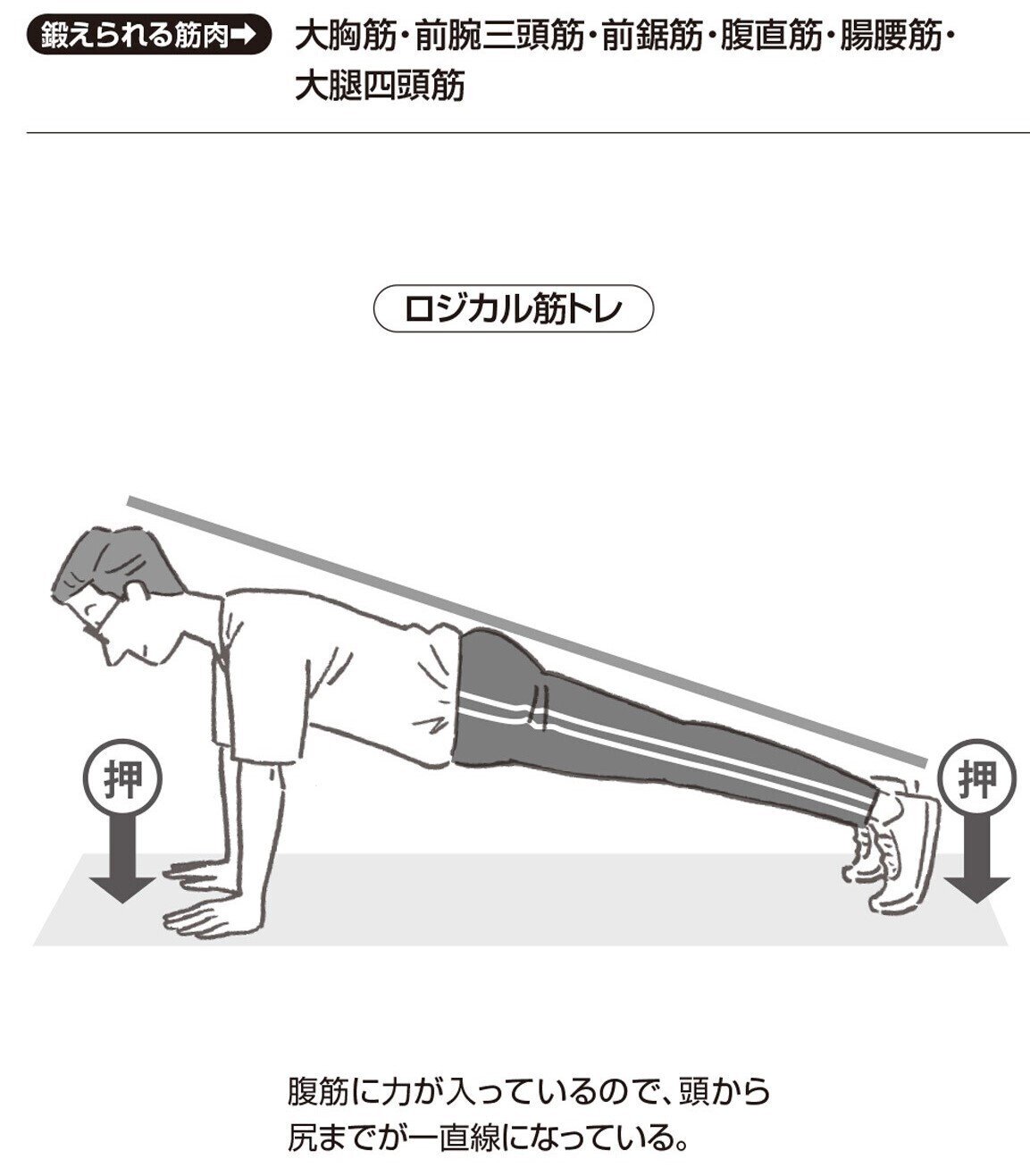 腕立て伏せは 腕で体を上げ下げする運動 ではない プロが教える正しいやり方とは 2 ロジカル筋トレ 幻冬舎 電子書籍 Note 腕立て伏せは 腕で体を上げ下げする運動 ではない プロが教える正しいやり方とは 2 ロジカル筋トレ 幻冬舎 電子書籍 Note