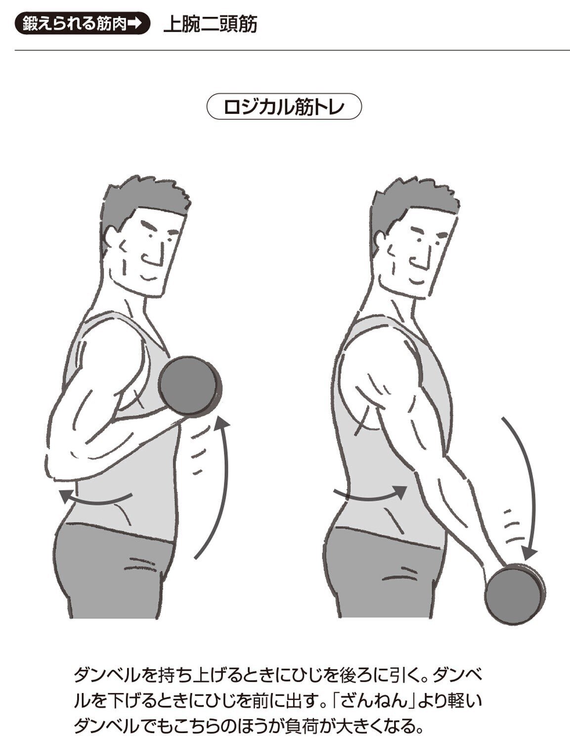 ひじの位置 がダンベルカールの最重要ポイント ラクな上げ方 をしていないか 3 ロジカル筋トレ 幻冬舎 電子書籍 Note ひじの位置 がダンベルカールの最重要ポイント ラクな上げ方 をしていないか 3 ロジカル筋トレ 幻冬舎 電子書籍 Note