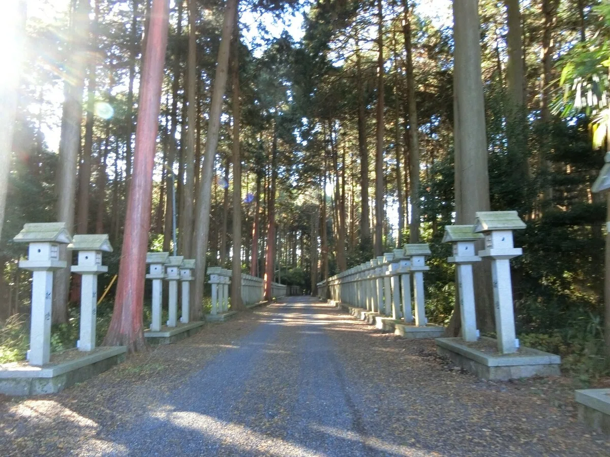 画像1
