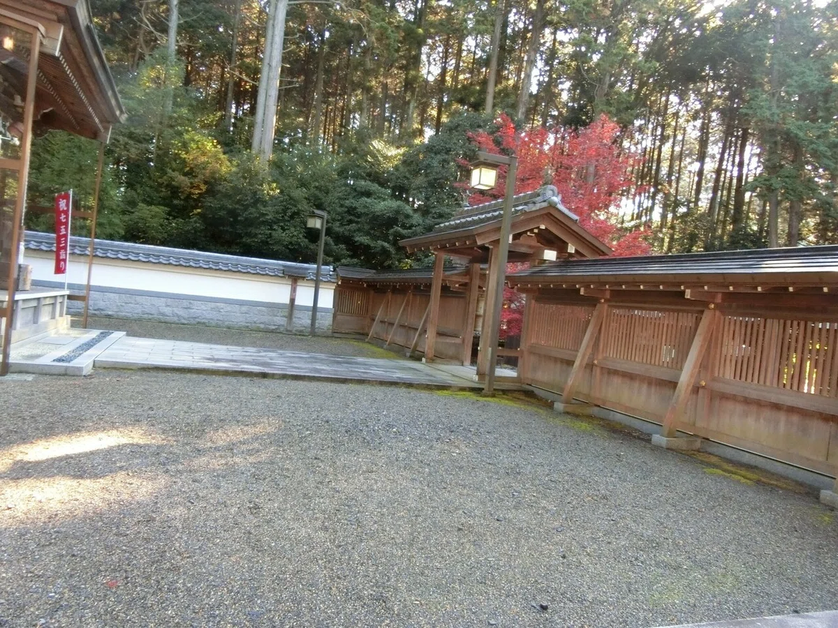 画像5