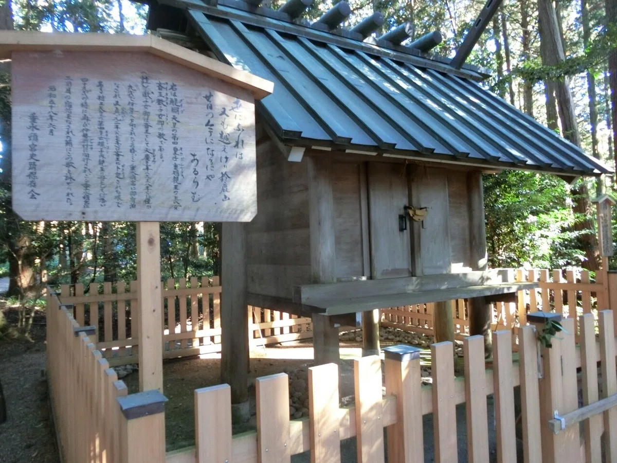 画像5