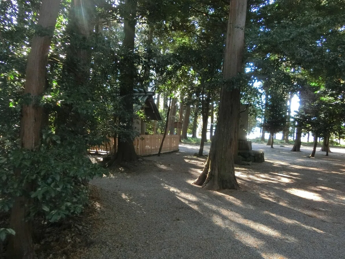 画像8