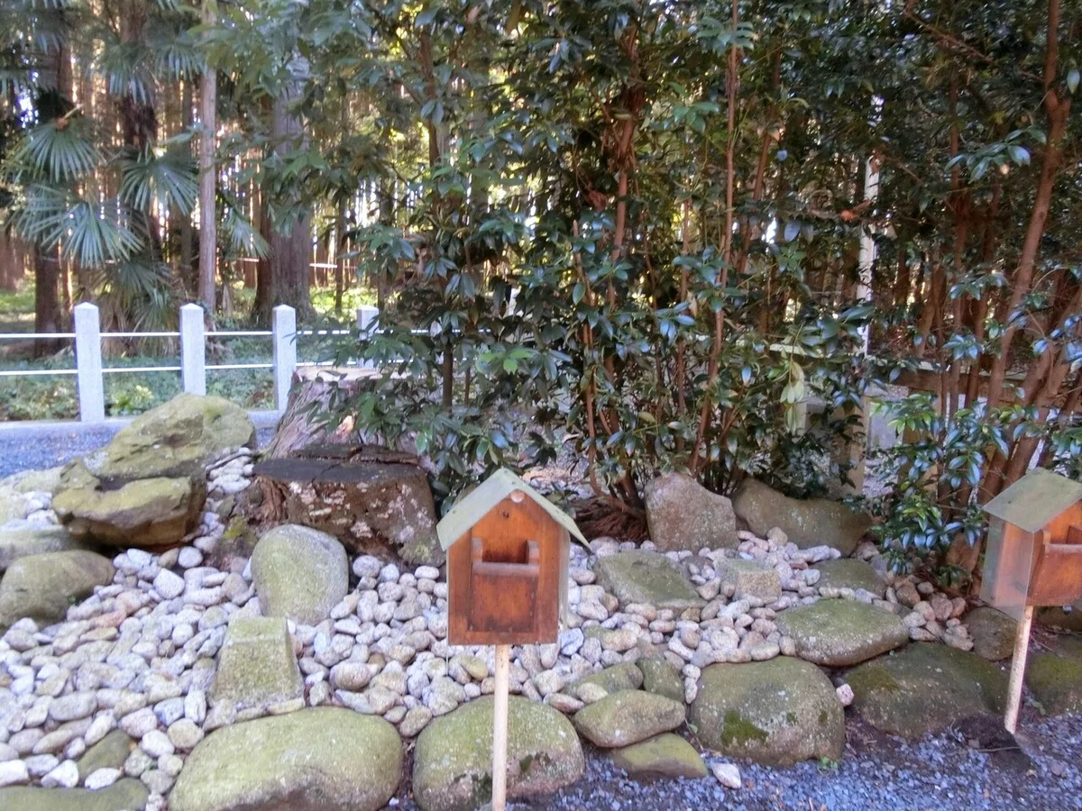 画像12