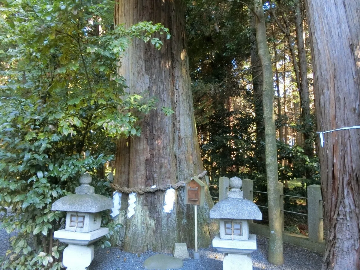 画像13