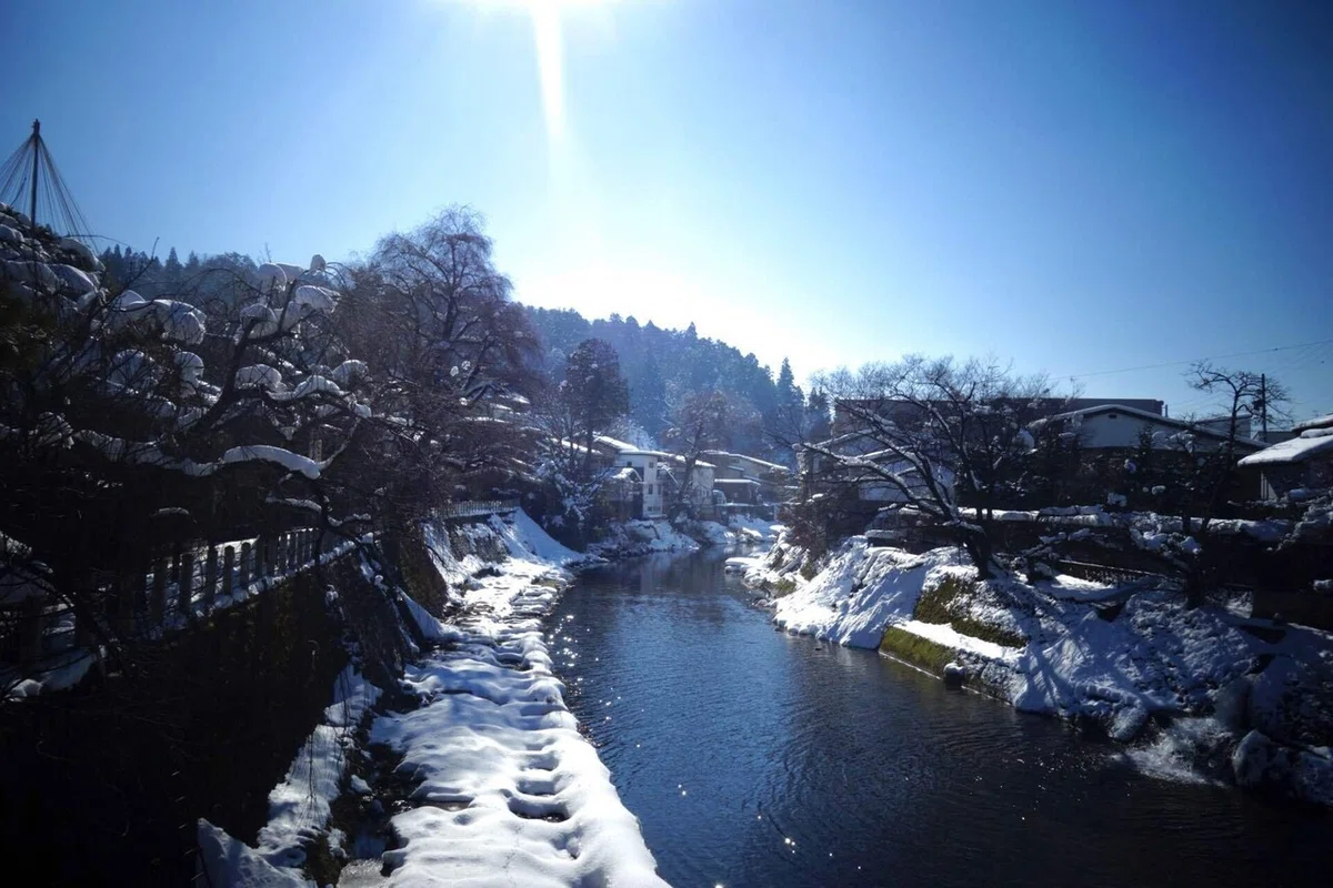 画像12