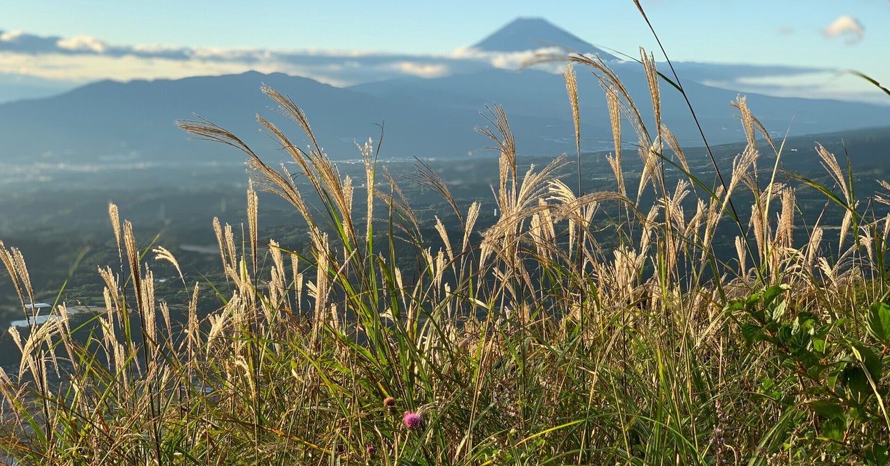 つらい、やめたい、と言えばよかったのだけど、言えなかった5年前｜自分を満たす練習中befull｜note