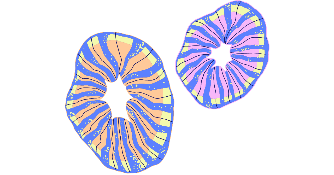 タイで妊娠しました おしるしがきた 38週健診 あんちゃん Note