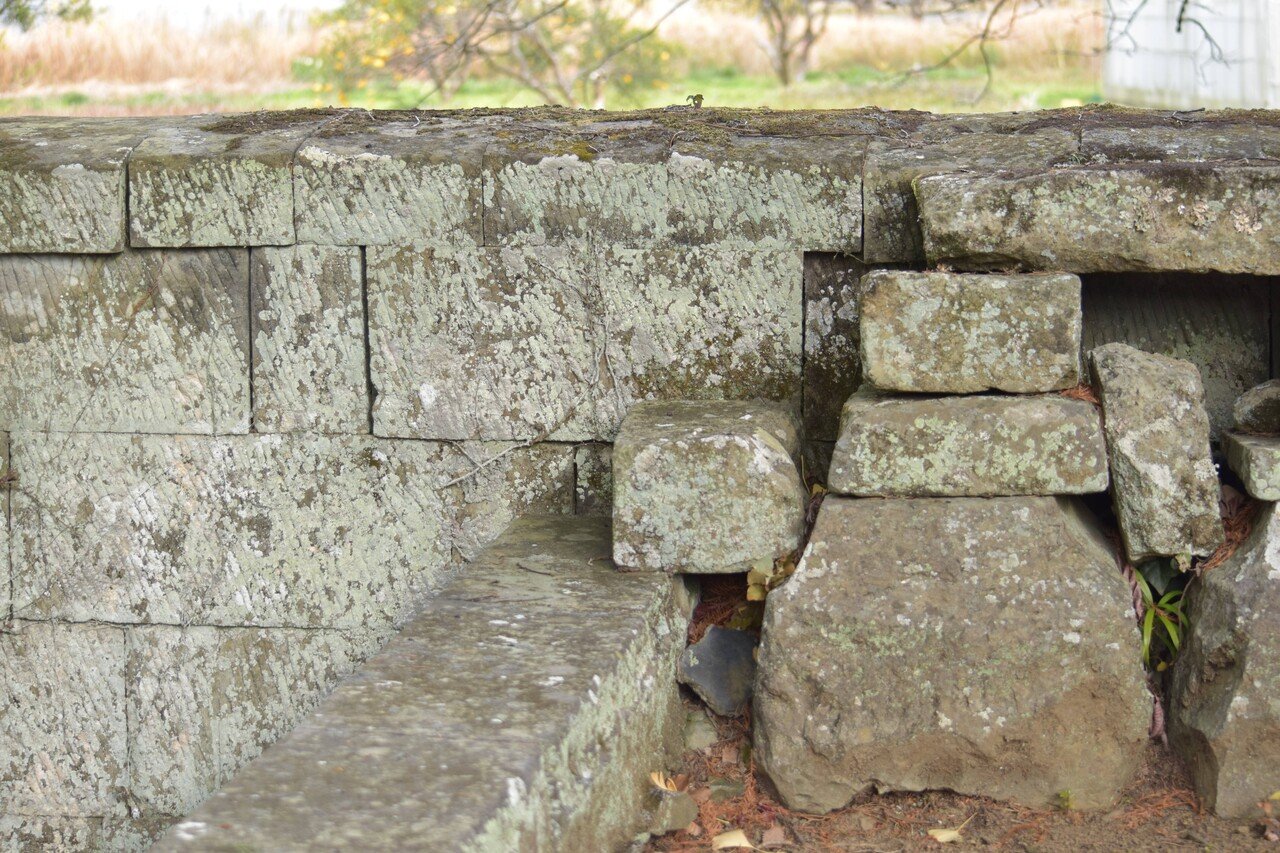 三浦雨林 河津に居た 滞在まとめ マイクロ アート ワーケーション アーツカウンシルしずおか Note 三浦雨林 河津に居た 滞在まとめ マイクロ アート ワーケーション アーツカウンシルしずおか Note