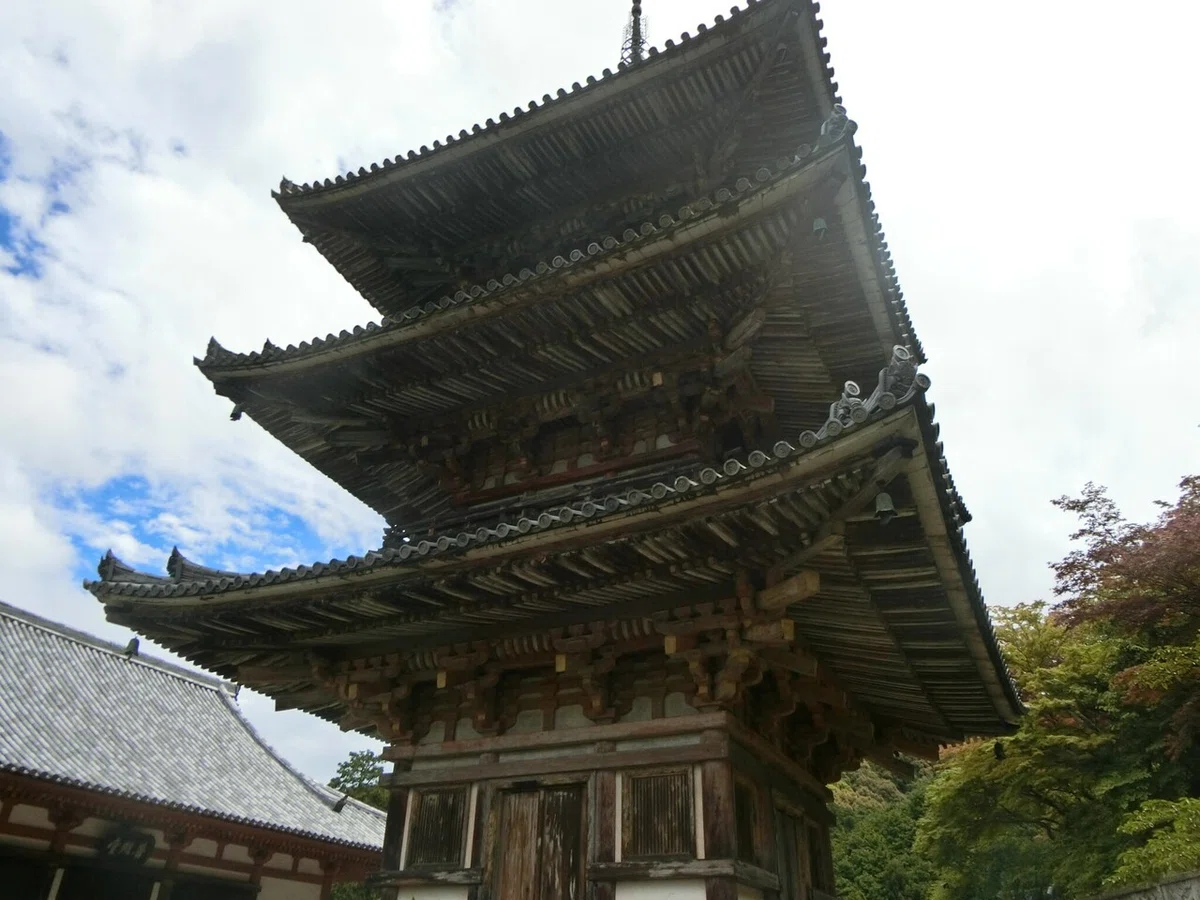 画像19
