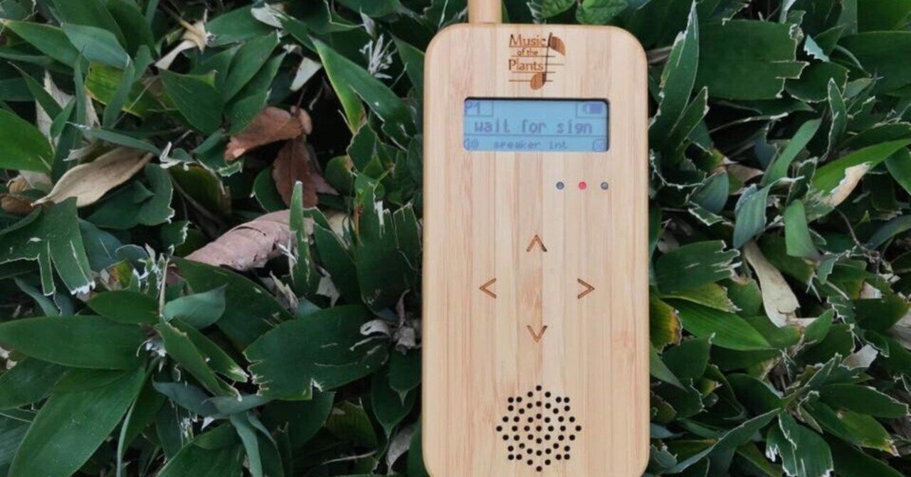 植物音楽 植物音楽デバイス ってなぁに Kackey Dabigtree Note 植物音楽 植物音楽デバイス ってなぁに Kackey Dabigtree Note