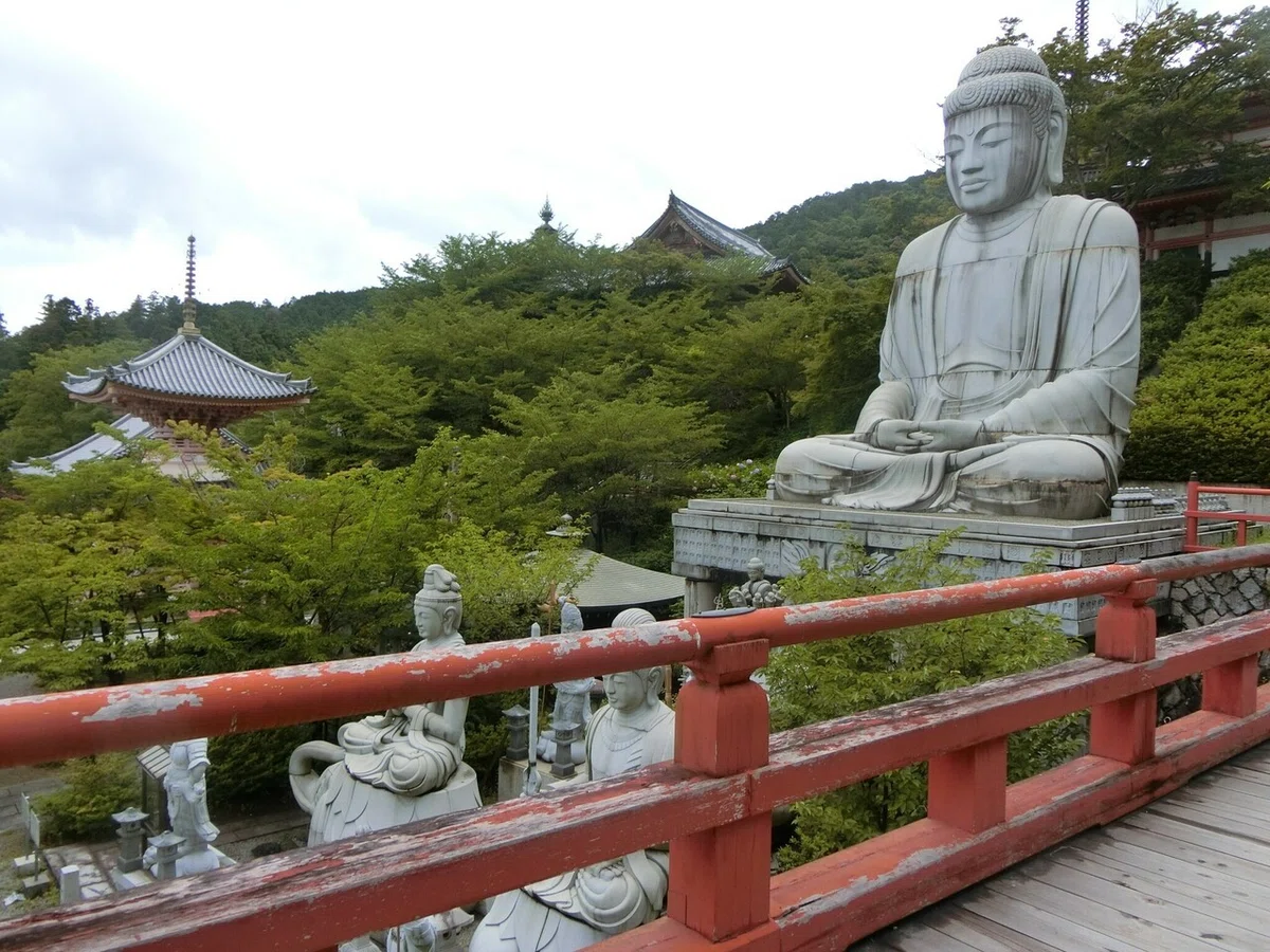 画像28