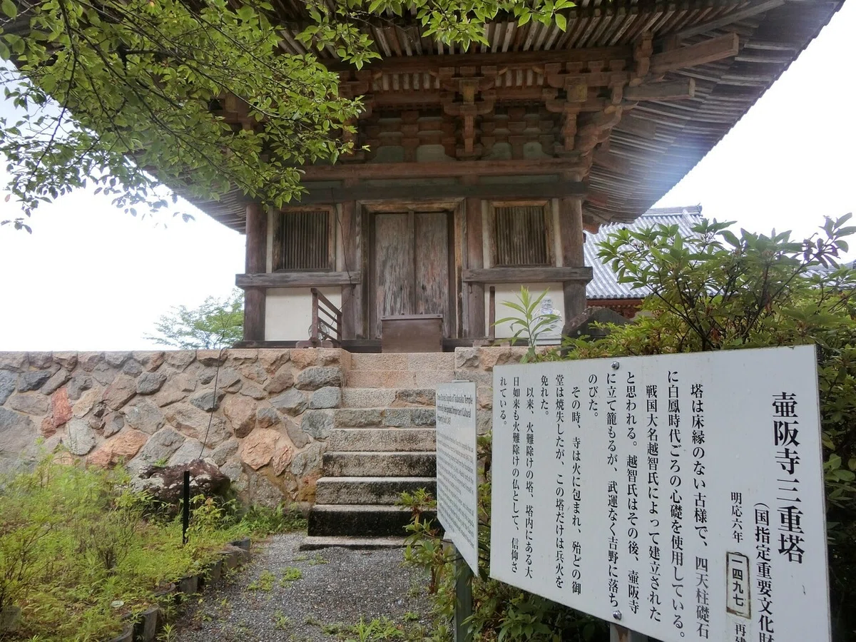 画像30