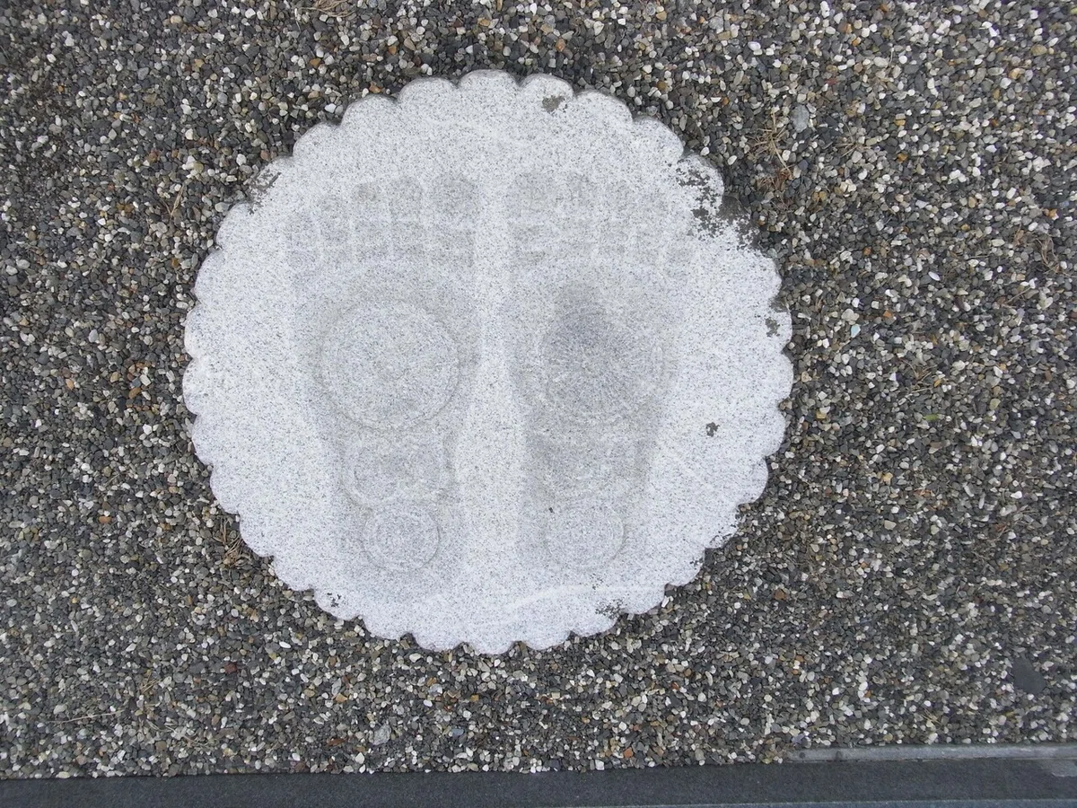 画像41